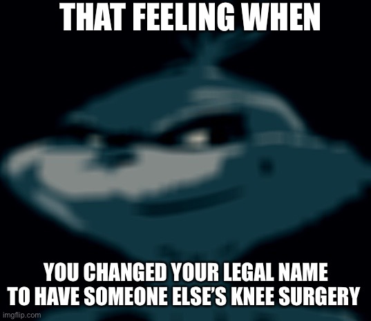 Blue Grinch | THAT FEELING WHEN; YOU CHANGED YOUR LEGAL NAME TO HAVE SOMEONE ELSE’S KNEE SURGERY | image tagged in blue grinch | made w/ Imgflip meme maker