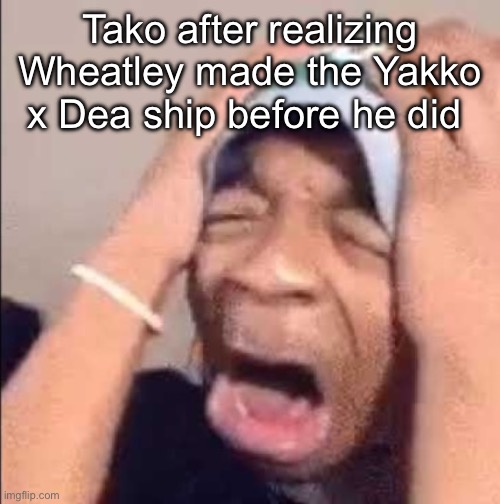 Flightreacts crying | Tako after realizing Wheatley made the Yakko x Dea ship before he did | image tagged in flightreacts crying | made w/ Imgflip meme maker