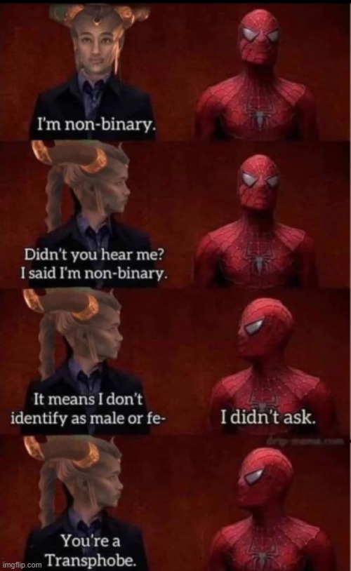 I can't think of a proper title | I'M NON-BINARY. DIDN'T YOU HEAR ME?
I SAIN I'M NON-BINARY. IT MEANS I DON'T
IDENTIFY AS MALE OR FE-; I DIDN'T ASK. YOU'RE A 
TRANSPHOBE. | image tagged in spiderman,offensive,memes,funny | made w/ Imgflip meme maker