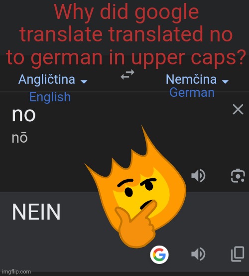 Hmmmm... | Why did google translate translated no to german in upper caps? German; English | image tagged in german | made w/ Imgflip meme maker