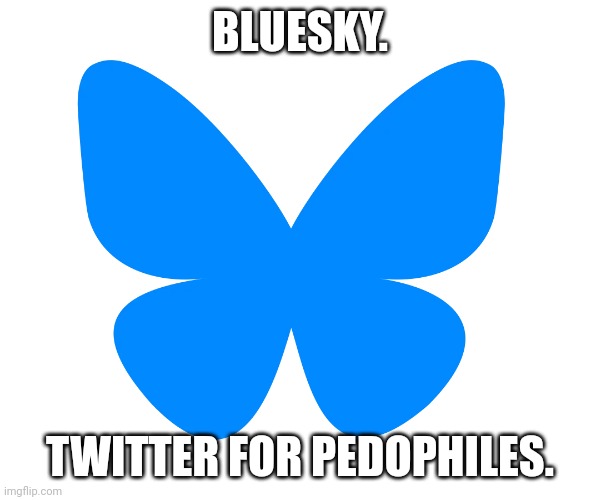 Like the celebs who endorsed Harris being attached to Diddy's white parties, if anyone goes to Bluesky, know that this is why. | BLUESKY. TWITTER FOR PEDOPHILES. | image tagged in bsky logo,pedophiles | made w/ Imgflip meme maker