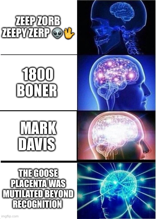 ?????????? | ZEEP ZORB ZEEPY ZERP 👽🖖; 1800 BONER; MARK DAVIS; THE GOOSE PLACENTA WAS MUTILATED BEYOND RECOGNITION | image tagged in memes,expanding brain | made w/ Imgflip meme maker