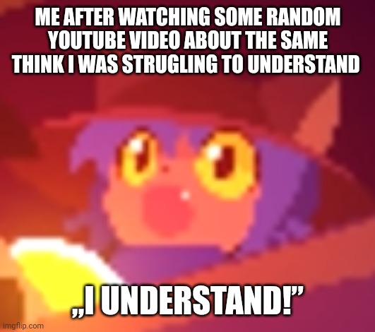 Yes! I understand it! I am smort!!!! | ME AFTER WATCHING SOME RANDOM YOUTUBE VIDEO ABOUT THE SAME THINK I WAS STRUGLING TO UNDERSTAND „I UNDERSTAND!” | image tagged in niko pog,learn | made w/ Imgflip meme maker