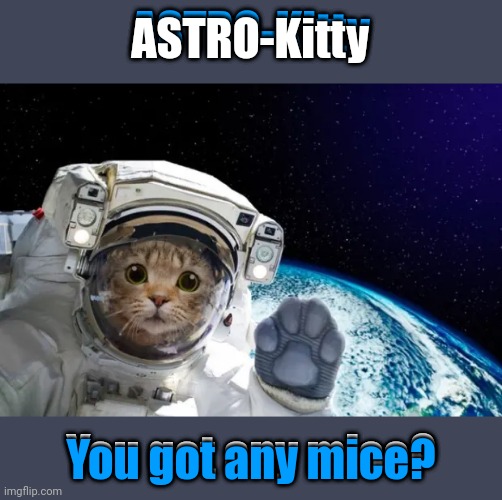 "Galactic Paws: The Quest for Mice!" | ASTRO-Kitty; ASTRO-Kitty; You got any mice? You got any mice? | image tagged in cats,space,animals | made w/ Imgflip meme maker