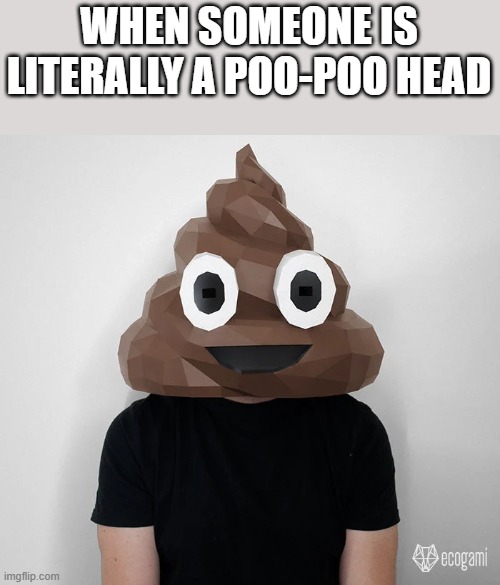 When Someone Is Literally A Poo-Poo Head | WHEN SOMEONE IS LITERALLY A POO-POO HEAD | image tagged in poo poo head,poop,literally,poop emoji,funny,memes | made w/ Imgflip meme maker