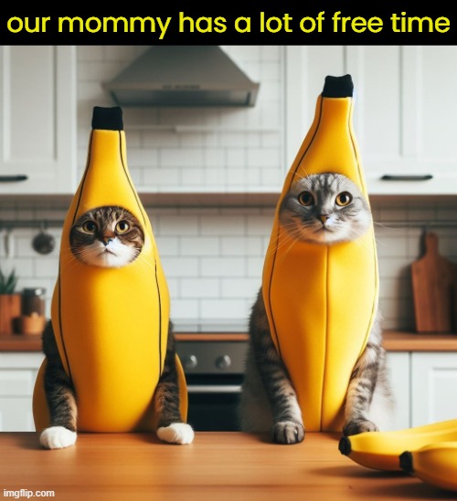 our mommy has a lot of free time | made w/ Imgflip meme maker