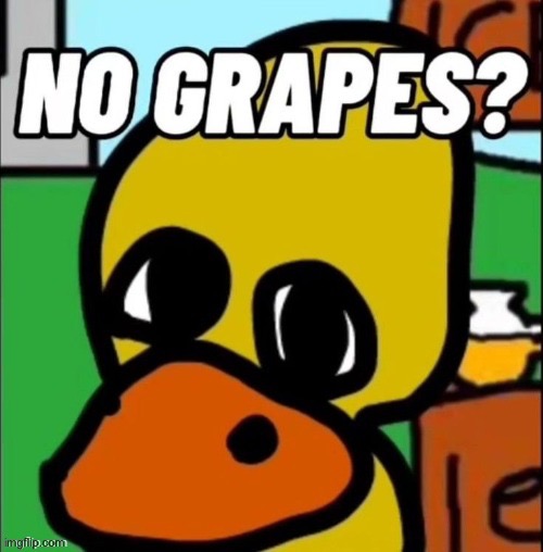 No Grapes | image tagged in no grapes | made w/ Imgflip meme maker