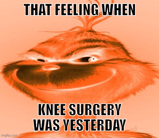 Blue Grinch | THAT FEELING WHEN; KNEE SURGERY WAS YESTERDAY | image tagged in blue grinch | made w/ Imgflip meme maker