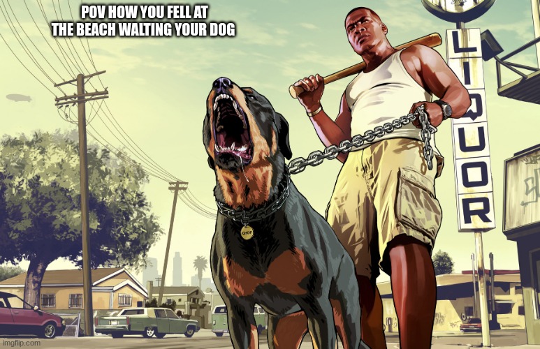 GTA 5 Franklin and his dog Chop | POV HOW YOU FELL AT THE BEACH WALTING YOUR DOG | image tagged in gta 5 franklin and his dog chop | made w/ Imgflip meme maker