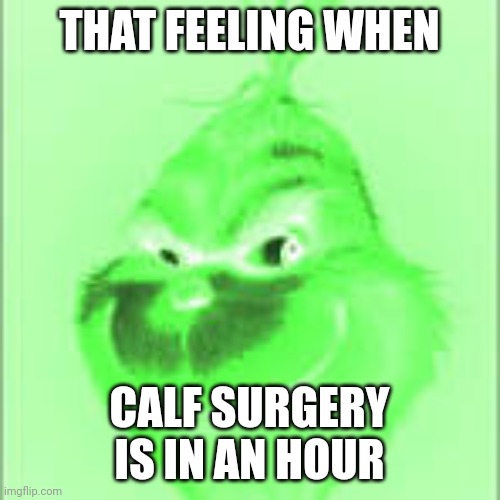 purple grinch | THAT FEELING WHEN; CALF SURGERY IS IN AN HOUR | made w/ Imgflip meme maker