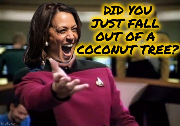 startrek | DID YOU
JUST FALL 
OUT OF A 
COCONUT TREE? | image tagged in startrek | made w/ Imgflip meme maker