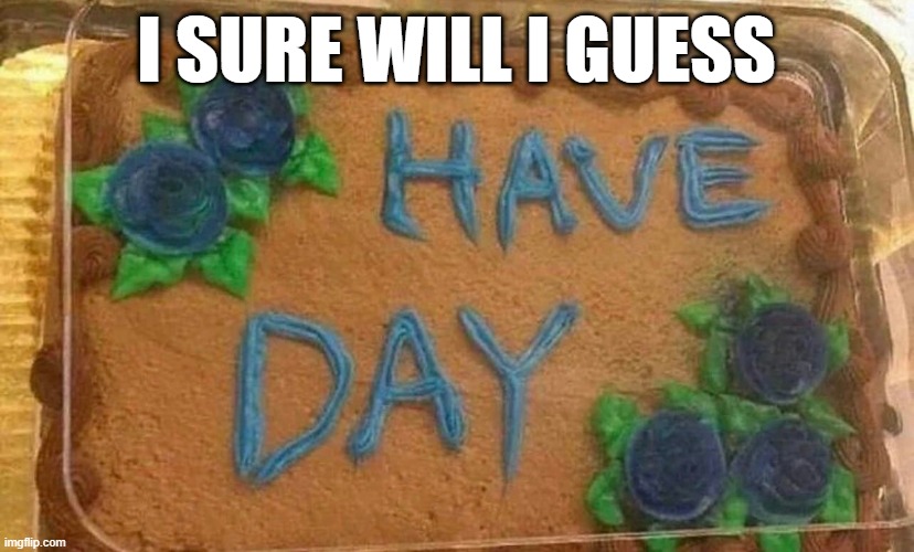 Have Day | I SURE WILL I GUESS | image tagged in you had one job | made w/ Imgflip meme maker