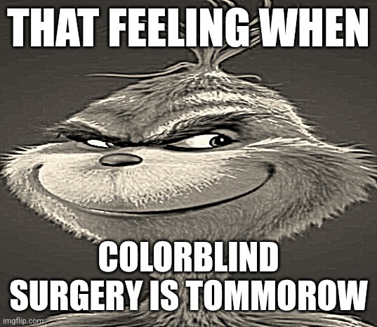 Blue Grinch | THAT FEELING WHEN; COLORBLIND SURGERY IS TOMMOROW | image tagged in blue grinch | made w/ Imgflip meme maker