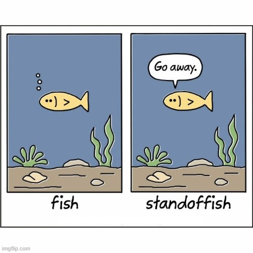 Fish | image tagged in comics | made w/ Imgflip meme maker