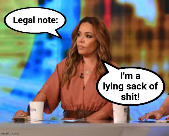 Sunny Hostin | Legal note: I'm a
lying sack of
shit! | image tagged in sunny hostin | made w/ Imgflip meme maker