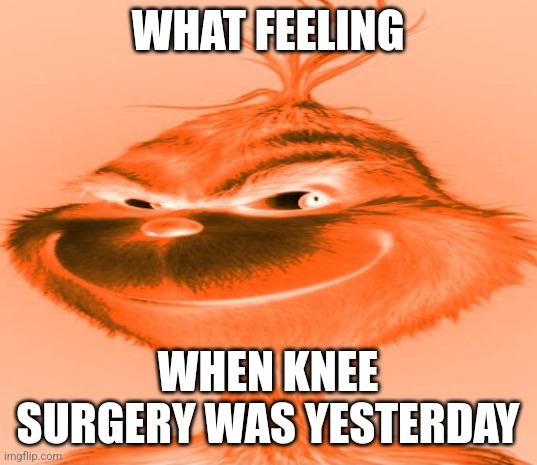 Blue Grinch | WHAT FEELING; WHEN KNEE SURGERY WAS YESTERDAY | image tagged in blue grinch | made w/ Imgflip meme maker