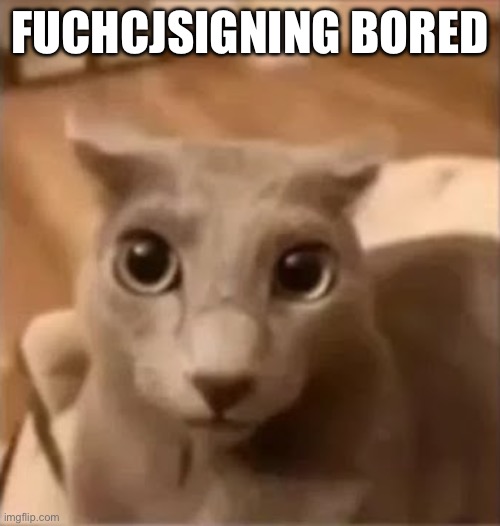 ahh cat | FUCHCJSIGNING BORED | image tagged in ahh cat | made w/ Imgflip meme maker