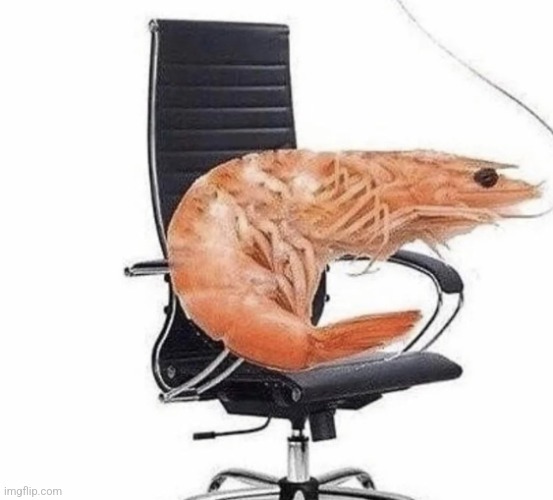 SHRIMP | image tagged in shrimp | made w/ Imgflip meme maker