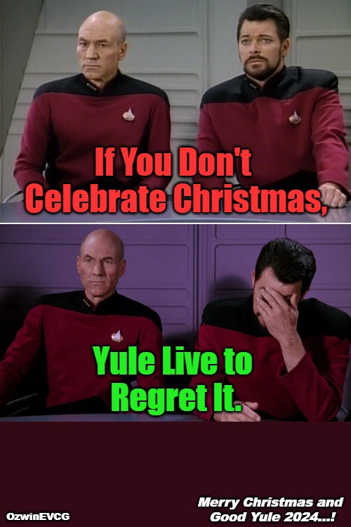 MCGY24 | If You Don't 

Celebrate Christmas, Yule Live to 

Regret It. Merry Christmas and 

Good Yule 2024...! OzwinEVCG | image tagged in picard,riker,pun,christmastime,yuletide,2024 | made w/ Imgflip meme maker