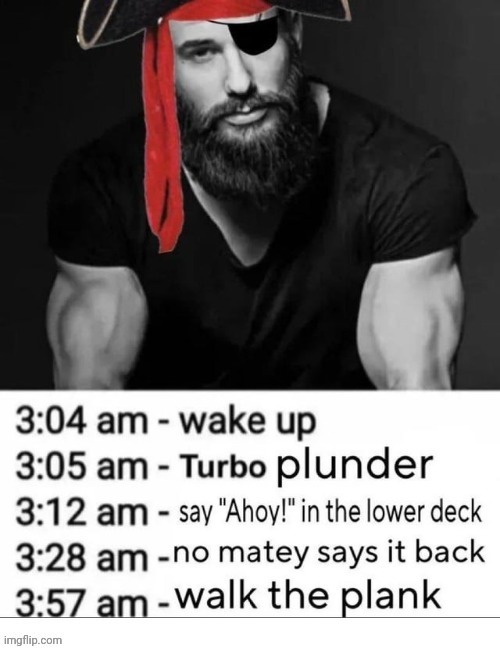 Pirate | image tagged in pirates,pirate,reposts,repost,memes,plank | made w/ Imgflip meme maker