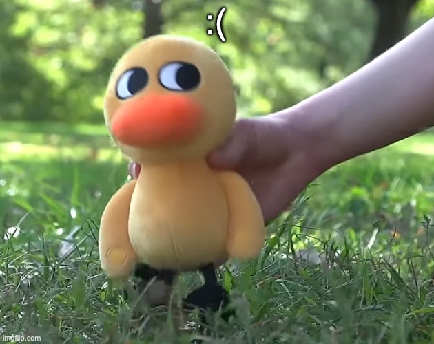 duck song plushie | :( | image tagged in duck song plushie | made w/ Imgflip meme maker
