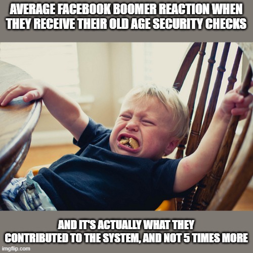 We all have that one boomer family member... | AVERAGE FACEBOOK BOOMER REACTION WHEN THEY RECEIVE THEIR OLD AGE SECURITY CHECKS; AND IT'S ACTUALLY WHAT THEY CONTRIBUTED TO THE SYSTEM, AND NOT 5 TIMES MORE | image tagged in toddler tantrum | made w/ Imgflip meme maker