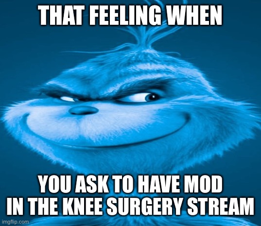 Blue Grinch | THAT FEELING WHEN; YOU ASK TO HAVE MOD IN THE KNEE SURGERY STREAM | image tagged in blue grinch | made w/ Imgflip meme maker