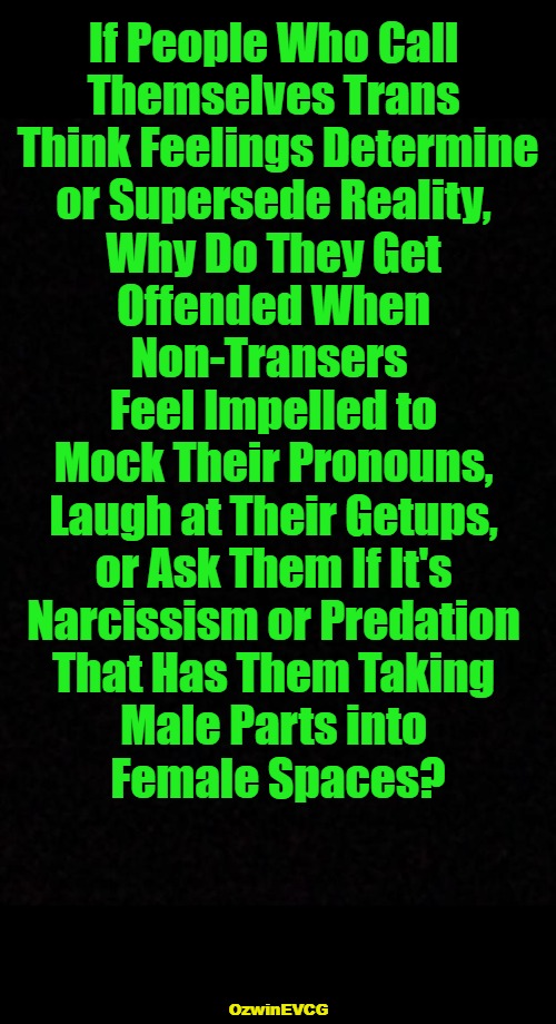 TLIA | If People Who Call 

Themselves Trans 

 Think Feelings Determine 

or Supersede Reality, 

Why Do They Get 

Offended When 

Non-Transers  

Feel Impelled to 

Mock Their Pronouns, 

Laugh at Their Getups, 

or Ask Them If It's 

Narcissism or Predation 

That Has Them Taking 

Male Parts into 

Female Spaces? OzwinEVCG | image tagged in political humor,real talk,lgbtq,liberal logic,clown world,invasion of the mind snatchers | made w/ Imgflip meme maker