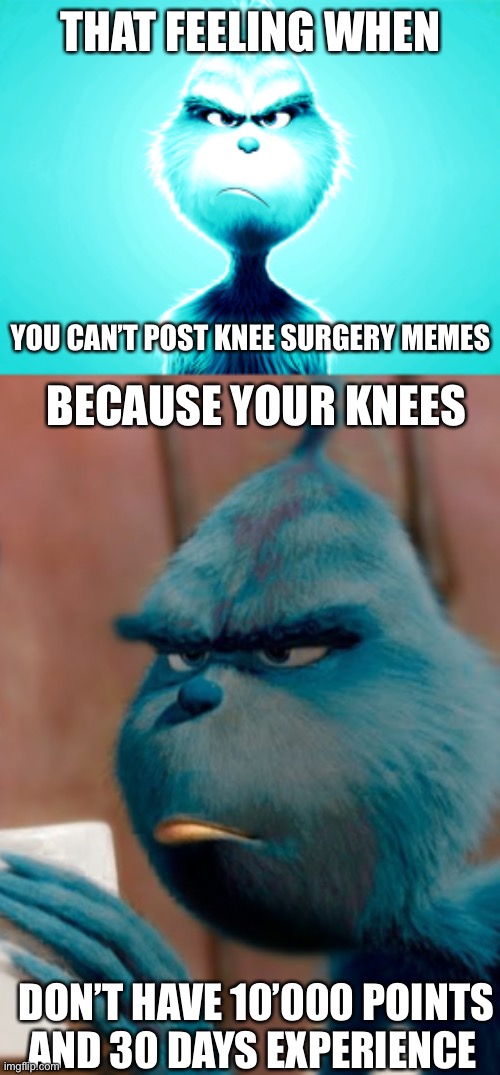 THAT FEELING WHEN; YOU CAN’T POST KNEE SURGERY MEMES; BECAUSE YOUR KNEES; DON’T HAVE 10’000 POINTS AND 30 DAYS EXPERIENCE | image tagged in sad knee surgery,sad blue grinch | made w/ Imgflip meme maker