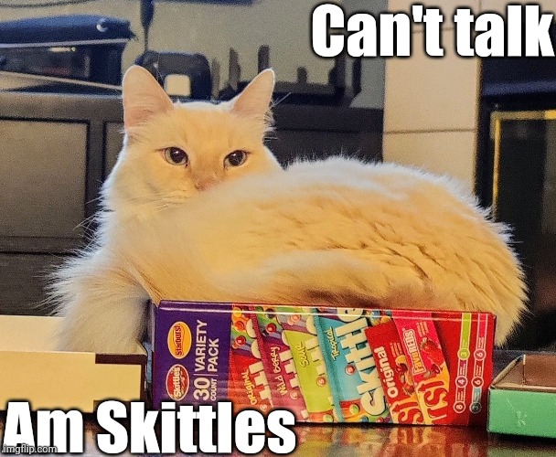 Am Skittles | Can't talk; Am Skittles | image tagged in cat | made w/ Imgflip meme maker