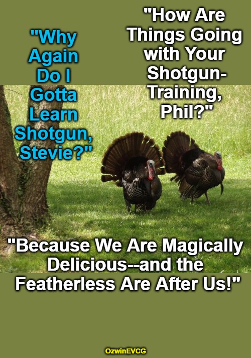 Turkeys Talking Humans | "How Are 

Things Going 

with Your 

Shotgun-

Training, 

Phil?"; "Why 

Again 

Do I 

Gotta 

Learn 

Shotgun, 

Stevie?"; "Because We Are Magically 

Delicious--and the 

Featherless Are After Us!"; OzwinEVCG | image tagged in funny,thanksgiving,animals,guns,professionals have standards,be prepared | made w/ Imgflip meme maker