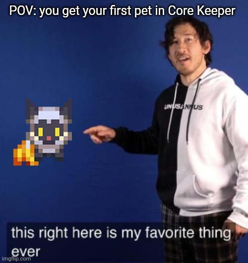 POV: you get your first pet in Core Keeper | made w/ Imgflip meme maker