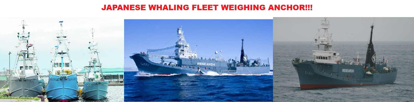 JAPANESE WHALING FLEET WEIGHING ANCHOR!!! Blank Meme Template