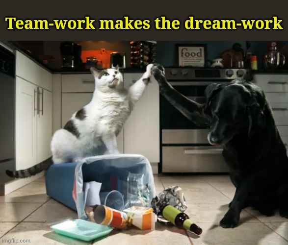 "The Pet’s ultimate accomplishment" | Team-work makes the dream-work | image tagged in animals,cats,dogs,cats and dogs,cats and dogs living together | made w/ Imgflip meme maker