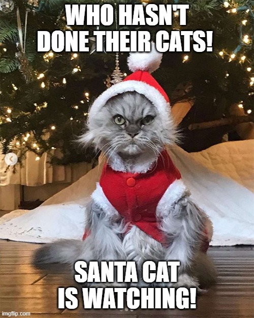 Santa CAT who hasn't done their CATS | WHO HASN'T DONE THEIR CATS! SANTA CAT IS WATCHING! | image tagged in funny,cats,timesheet reminder,timesheet meme | made w/ Imgflip meme maker