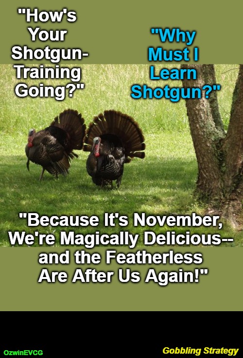 GS | "How's 

Your 

Shotgun-

Training 

Going?"; "Why 

Must I 

Learn 

Shotgun?"; "Because It's November, 

We're Magically Delicious-- 

and the Featherless 

Are After Us Again!"; Gobbling Strategy; OzwinEVCG | image tagged in funny,thanksgiving,animals,be prepared,professionals have standards,real talk | made w/ Imgflip meme maker