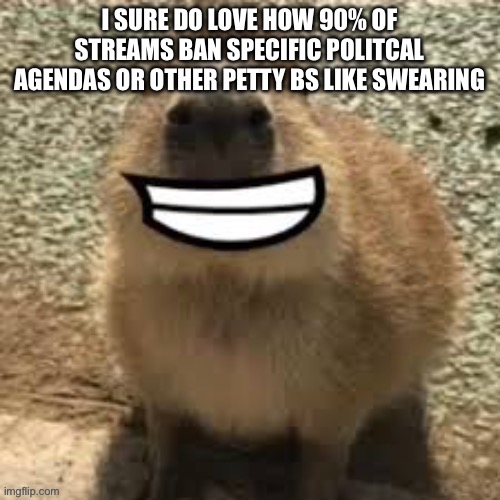 “grr i dont like your political beliefs, banned” | I SURE DO LOVE HOW 90% OF STREAMS BAN SPECIFIC POLITCAL AGENDAS OR OTHER PETTY BS LIKE SWEARING | image tagged in goofy ass capybara | made w/ Imgflip meme maker