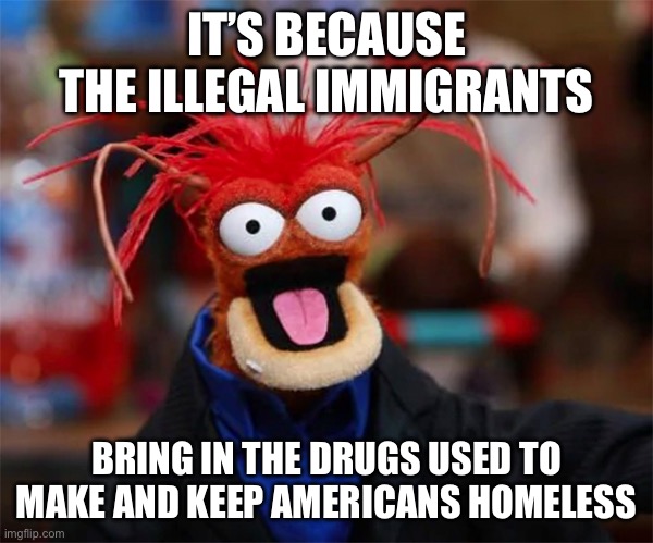 Pepe muppet prawn | IT’S BECAUSE THE ILLEGAL IMMIGRANTS BRING IN THE DRUGS USED TO MAKE AND KEEP AMERICANS HOMELESS | image tagged in pepe muppet prawn | made w/ Imgflip meme maker