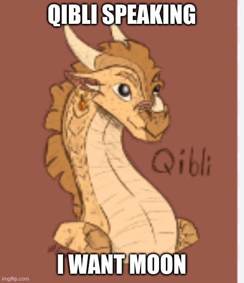 Qibli agrees | QIBLI SPEAKING I WANT MOON | image tagged in qibli agrees | made w/ Imgflip meme maker