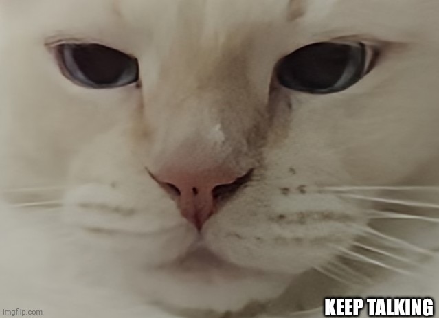 Keep Talking Cat | KEEP TALKING | image tagged in cat | made w/ Imgflip meme maker