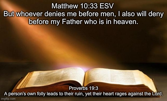 God bless you guys | Matthew 10:33 ESV 

But whoever denies me before men, I also will deny before my Father who is in heaven. Proverbs 19:3
A person’s own folly leads to their ruin, yet their heart rages against the Lord. | image tagged in bible | made w/ Imgflip meme maker