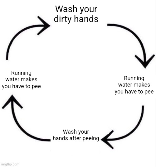 the circle of life | Wash your dirty hands; Running water makes you have to pee; Running water makes you have to pee; Wash your hands after peeing | image tagged in the circle of life | made w/ Imgflip meme maker