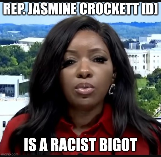 REP. JASMINE CROCKETT [D]; IS A RACIST BIGOT | made w/ Imgflip meme maker