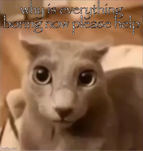 ahh cat | why is everything boring now please help | image tagged in ahh cat | made w/ Imgflip meme maker
