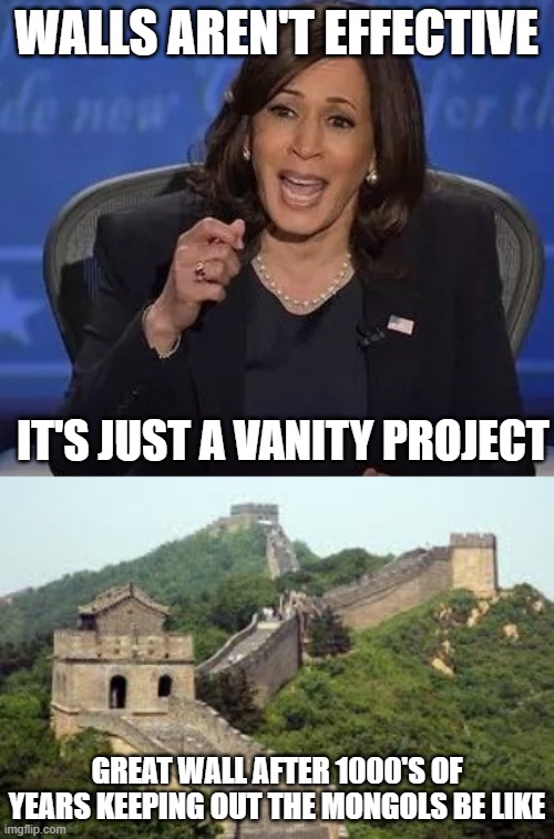 WALLS AREN'T EFFECTIVE IT'S JUST A VANITY PROJECT GREAT WALL AFTER 1000'S OF YEARS KEEPING OUT THE MONGOLS BE LIKE | image tagged in kamala harris,great wall of china | made w/ Imgflip meme maker