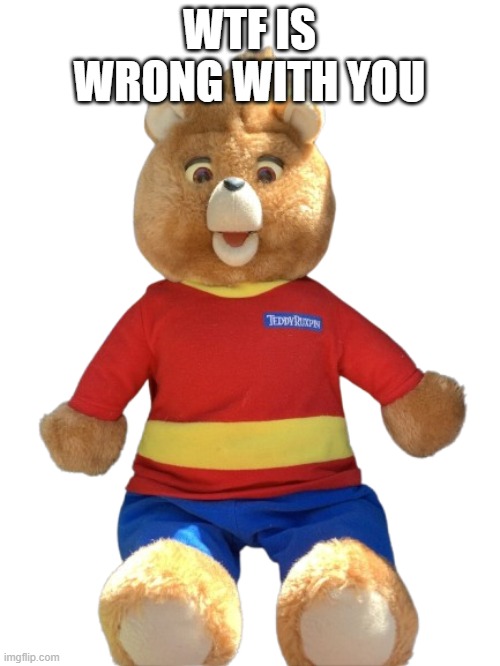 1998 Teddy Ruxpin | WTF IS WRONG WITH YOU | image tagged in 1998 teddy ruxpin | made w/ Imgflip meme maker