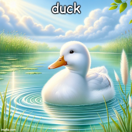 Duck | duck | image tagged in duck | made w/ Imgflip meme maker