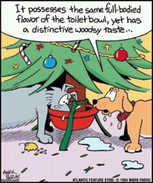 This is for us snobs ? ha ha! | image tagged in christmas,dogs,water,wine,tree | made w/ Imgflip meme maker