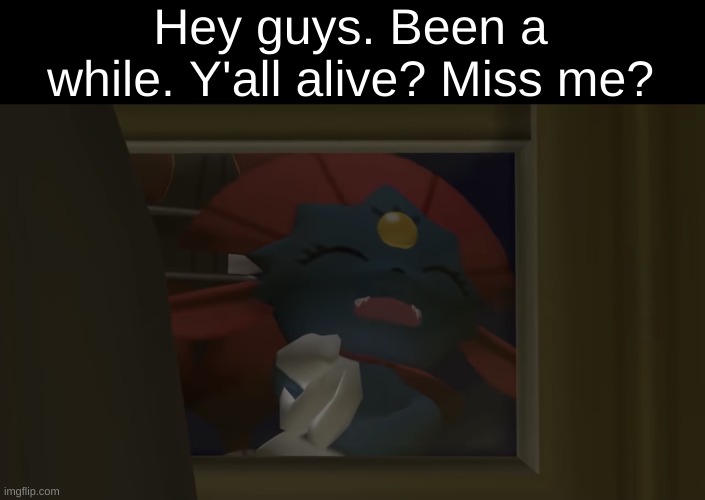 I'm back(?) | Hey guys. Been a while. Y'all alive? Miss me? | image tagged in weavile laughing through a window | made w/ Imgflip meme maker