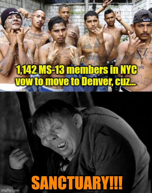 INCOMING!!!!! Enjoy, Liberals! | 1,142 MS-13 members in NYC vow to move to Denver, cuz... SANCTUARY!!! | image tagged in ms13,quasimodo | made w/ Imgflip meme maker